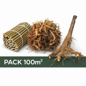 Pack biomasse 100m2